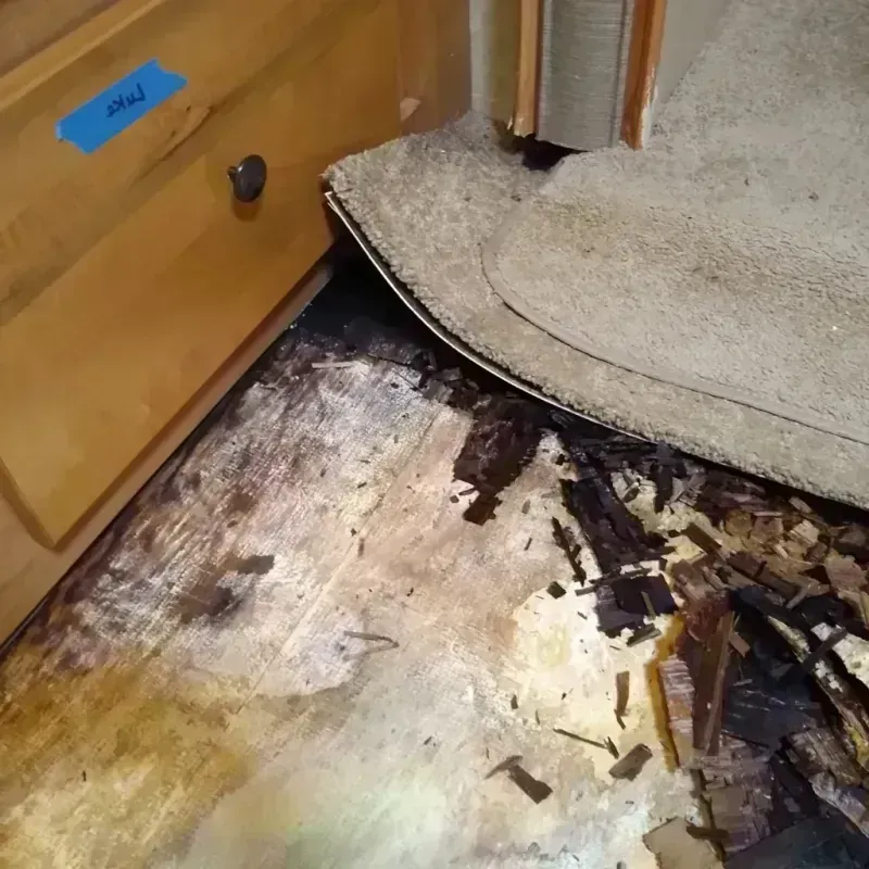 Wood Floor Water Damage in Wabasso Beach, FL